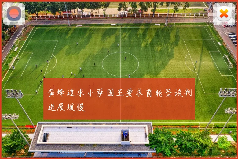 黄蜂追求小萨国王要求首轮签谈判进展缓慢