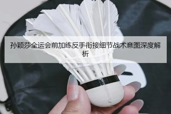 孙颖莎全运会前加练反手衔接细节战术意图深度解析 | MorganSport